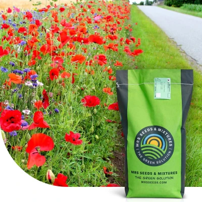 Abbildung von Rasensamen Roadside Bloom Grassamen Farbenfrohe Wegränder 5 KG 250 m² MRS Seeds &amp; Mixtures