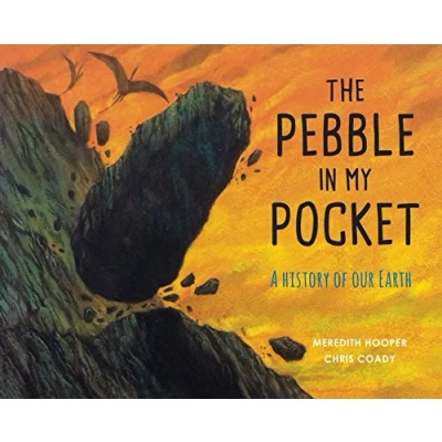 Abbildung von The Pebble in My Pocket: A History of Our Earth