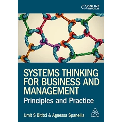 Abbildung von Systems Thinking for Business and Management: Principles Practice