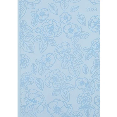 Abbildung von Ladytimer Grande Deluxe Sky 2023 Taschen Kalender A5 (15x21 cm) Tucson Einband mit Motivprägung Weekly 128 Seiten Alpha Edition