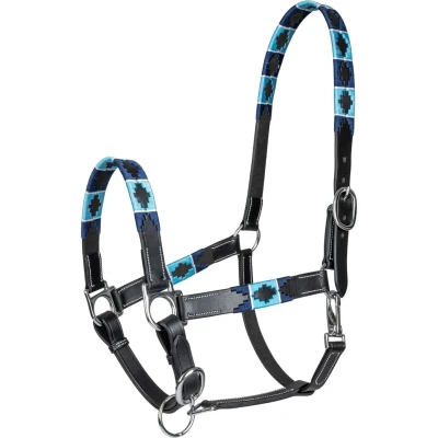 Abbildung von Waldhausen Halfter Polo Leder Schwarz/Blau Vollblut