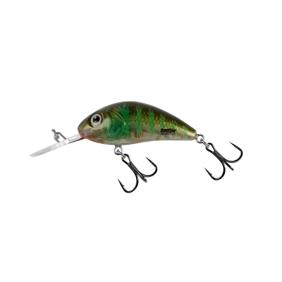 Abbildung von Salmo Rattlin&#039; Hornet 3,5cm 3,1g Floating 1,0 1,8m Green Gill Clear Wobbler