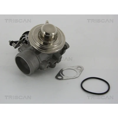 Abbildung von TRISCAN 8813 29001 AGR Ventil pneumatisch mit Dichtungen VOLKSWAGEN: Golf 4 Schrägheck, Polo IV Variant, SEAT: Ibiza 3 Schrägheck
