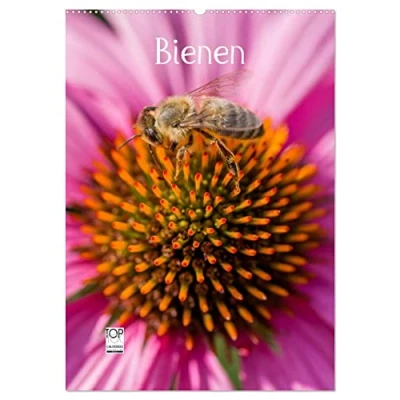 Abbildung von Bienenkalender (Wandkalender 2025 DIN A2 hoch), CALVENDO Monatskalender