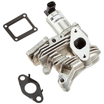 Abbildung von PIERBURG 7.00075.07.0 AGR Ventil elektrisch Magnetventil mit Dichtung RENAULT: LAGUNA 2 Grandtour, SCENIC 2, MEGANE