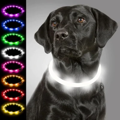 Abbildung von Joytale Leuchthalsband Hund USB Aufladbar Hundehalsband Leuchtend für Große Mittel Kleine Hunde und Welpe, Led Halsband mit 3 Modi Sicherheit, Weiß