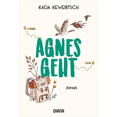 Abbildung von Agnes geht: Roman