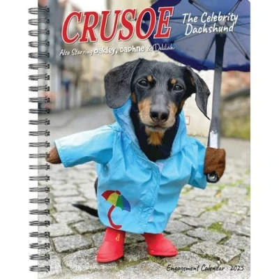Abbildung von Crusoe the Celebrity Dachshund 2025 6.5 X 8.5 Engagement Calendar