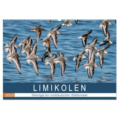 Abbildung von Limikolen Watvögel am norddeutschen Wattenmeer (Wandkalender 2025 DIN A2 quer), CALVENDO Monatskalender