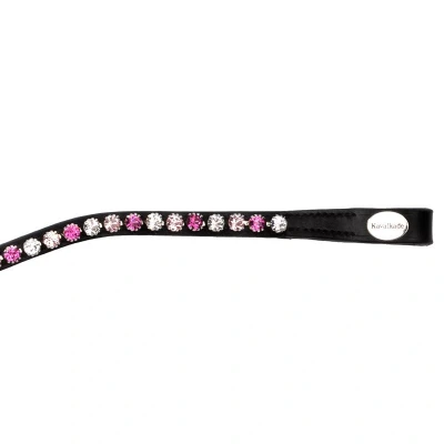 Abbildung von Kavalkade Stirnriemen Splendid Gebogen Pink Volblut