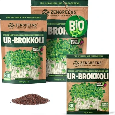 Abbildung von ZenGreens® Bio Ur Brokkoli Sprossen Samen Wähle zwischen 10g, 200g und 500g Brokkolisprossen mit hohem Sulforaphan Gehalt Stengelkohl Brokkolisamen Keimrate von über 97%