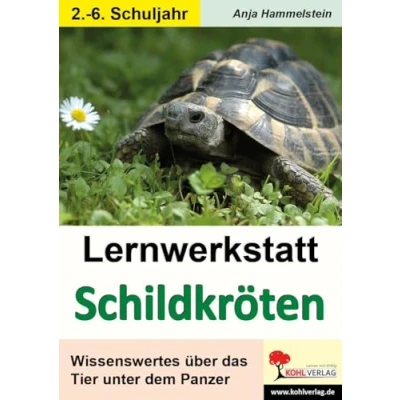 Abbildung von Lernwerkstatt Schildkröten: Wissenswertes über das Tier unter dem Panzer
