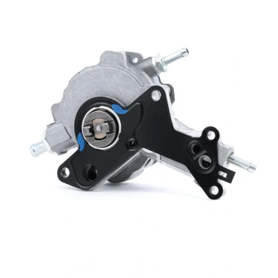 Abbildung von RIDEX 387V0011 Unterdruckpumpe VOLKSWAGEN: Touran I, Polo IV Schrägheck, Passat B5 Variant, AUDI: A3 A4 B6 Avant, B7 Avant