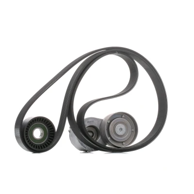 Abbildung von SKF VKMA 36031 Keilrippenriemensatz RENAULT: ESPACE 4