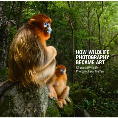Abbildung von How Wildlife Photography Became Art: 55 Years of Photographer the Year