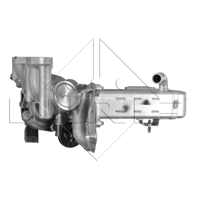 Abbildung von NRF 48204 AGR Modul mit Kühler CITROËN: Jumpy II MPV, C5 III Kombi, PEUGEOT: RCZ Coupe