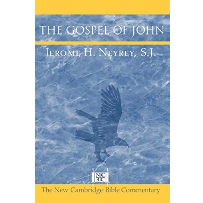 Abbildung von The Gospel of John (New Cambridge Bible Commentary)
