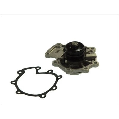 Abbildung von THERMOTEC D1G015TT Wasserpumpe 3 mit Dichtung mechanisch FORD: Maverick SUV, MONDEO Kombi, 3, MAZDA: Tribute Station Wagon