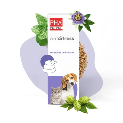 Abbildung von PHA Antistress Tropfen für Katzen 30 ml