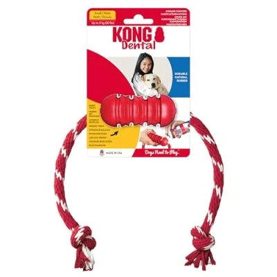 Abbildung von KONG Kauspielzeug Dental Rope
