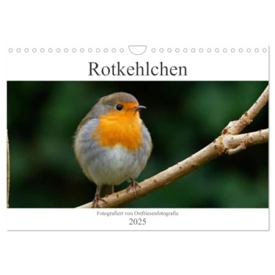 Abbildung von Rotkehlchen Fotografiert von Ostfriesenfotografie (Wandkalender 2025 DIN A4 quer), CALVENDO Monatskalender