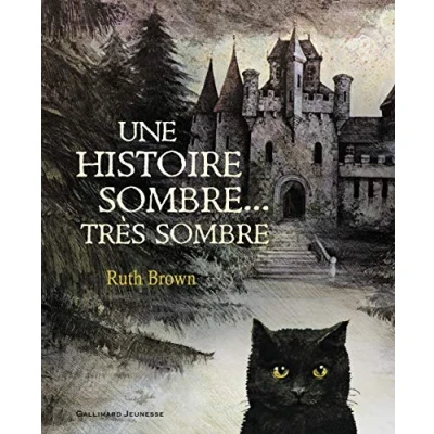 Abbildung von Une histoire sombre très