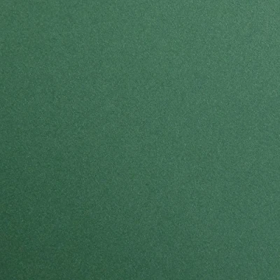 Abbildung von Clairefontaine 397279C Packung (mit 125 Bögen Zeichenpapier Maya, 50 x 70 cm,270g, glatt, ideal für Trockentechnik und Einrahmen) tannengrün