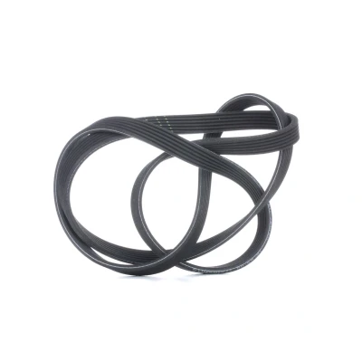 Abbildung von GATES 6DPK1853 Keilrippenriemen 1853 6 Polyester, EPDM (Ethylen Propylen Dien Kautschuk) RoadMax Value Line VOLVO: V70 I, C70 I Coupe
