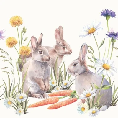 Abbildung von Carrot treat