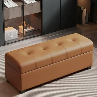 Abbildung von DSEWTEZXI Wohnzimmer Schuhbank Sitzfläche mit gepolstertem Sitz, Schlafzimmer schuhschrank sitzbank, Schuhablage für drinnen Flur, Modern den Eingangsbereich Schuhbank, platzsparendes schuhregal.