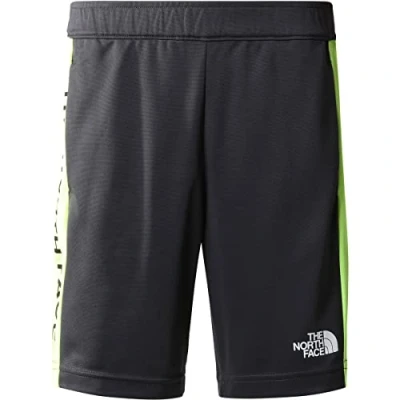 Abbildung von THE NORTH FACE Never Stop Shorts Asphalt Grey L