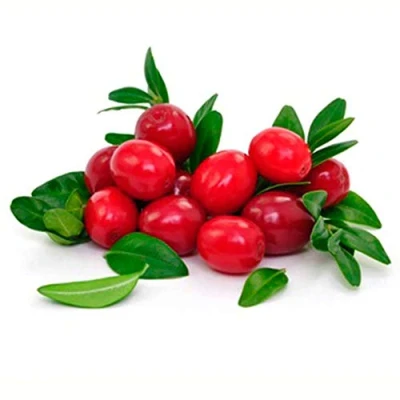 Abbildung von Lebensmittelaroma I Cranberry 10 ml Made in Germany