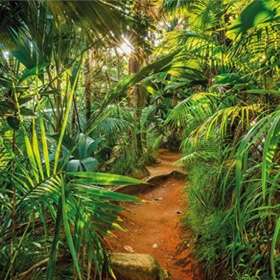 Abbildung von Komar Fototapete &quot;Fototapete&quot;, bedruckt, Papier Jungle Trail Größe 368 x 254 cm