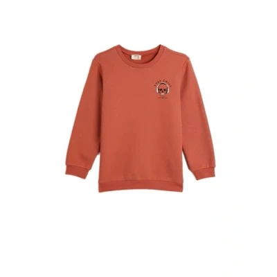 Abbildung von Koton Boys Sweat Long Sleeve Crew Neck Skull Printed Detail Soft Interior