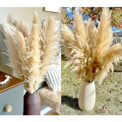 Abbildung von 20 Stück Pampas Grass groß, XXL, Deko Gross für Boho DekoWohnzimmer Tisch Schlafzimmer Hochzeits Badezimmer(100cm)