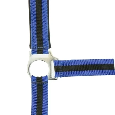 Abbildung von Norton Halfter Neopren Ausgekleidet Blau/Schwarz Shet
