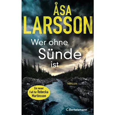 Abbildung von Wer ohne Sünde ist: Thriller. der neue Thriller Bestsellerautorin ausgezeichnet als bester schwedischer Krimi des Jahres