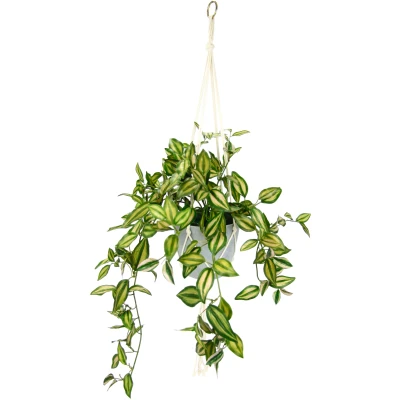 Abbildung von I.GE.A. Kunstpflanze &quot;Tradeskantie&quot;, Tradescantiahängeampel