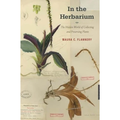 Abbildung von In The Herbarium: Hidden World of Collecting and Preserving Plants
