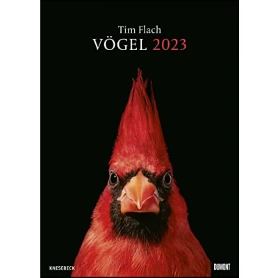 Abbildung von Tim Flach: Vögel 2023 Posterkalender von DUMONT Vogel Porträts Flach Poster Format 50 x 70 cm
