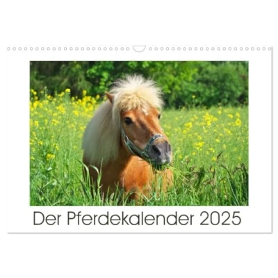 Abbildung von Der Pferdekalender (Wandkalender 2025 DIN A3 quer), CALVENDO Monatskalender
