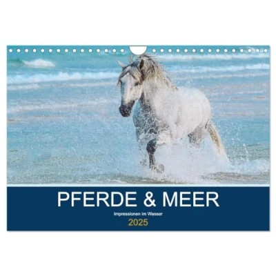 Abbildung von PFERDE &amp; MEER (Wandkalender 2025 DIN A4 quer), CALVENDO Monatskalender