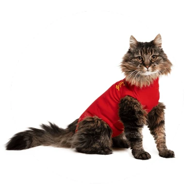 Abbildung von Medical Pet Shirt Katze XXS (32 43 cm)
