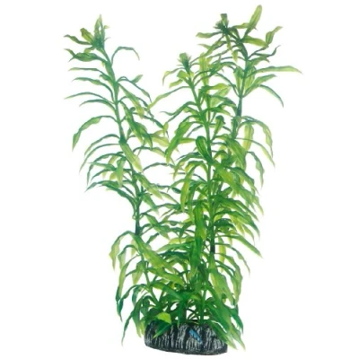 Abbildung von HOBBY Aquariendeko Heteranthera 25 cm