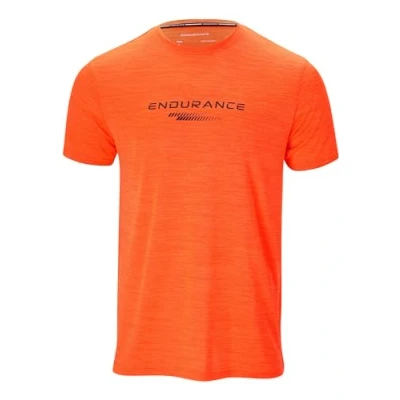 Abbildung von Endurance Performance TEE Sport Tshirt, Herren, Größe: Small, flame