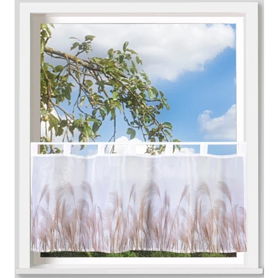Abbildung von Scheibengardine Pampasgras, Weckbrodt, Schlaufen (1 St), transparent, Voile, Bistro, Gardine, floral, Gräser, transparent