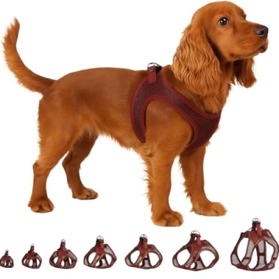 Abbildung von Flamingo Step Go Bento Geschirr Aubergine, M (A:30 35 cm, B:41 44 3 mm), Komfortabel und Verstellbar, Ideal für Französische Bulldogge, Mops, Shih Tzu, Zwergschnauzer usw.