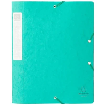 Abbildung von Exacompta 14003H Premium Sammelbox mit Gummizug 40 mm breit aus extra starkem Colorspan Karton Rückenschild für DIN A4 Archivbox Heftbox Dokumentenbox Zeichenbox Sammelmappe grün