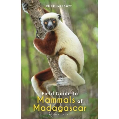 Abbildung von Field Guide to Mammals of Madagascar (Bloomsbury Naturalist)