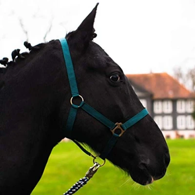 Abbildung von Halfter für Pferd Warmblut, Vollblut, Kaltblut Stallhalfter, Weidehalfter, 2 Fach verstellbar an Kinnriemen und Genickstück, sicher &amp; reißfest (Tanne, Warmblut (Full))